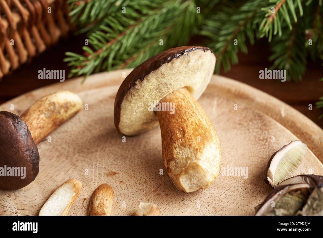 Fresh pine boletes on a wooden cutting board - wild edible mushrooms Stock Photo