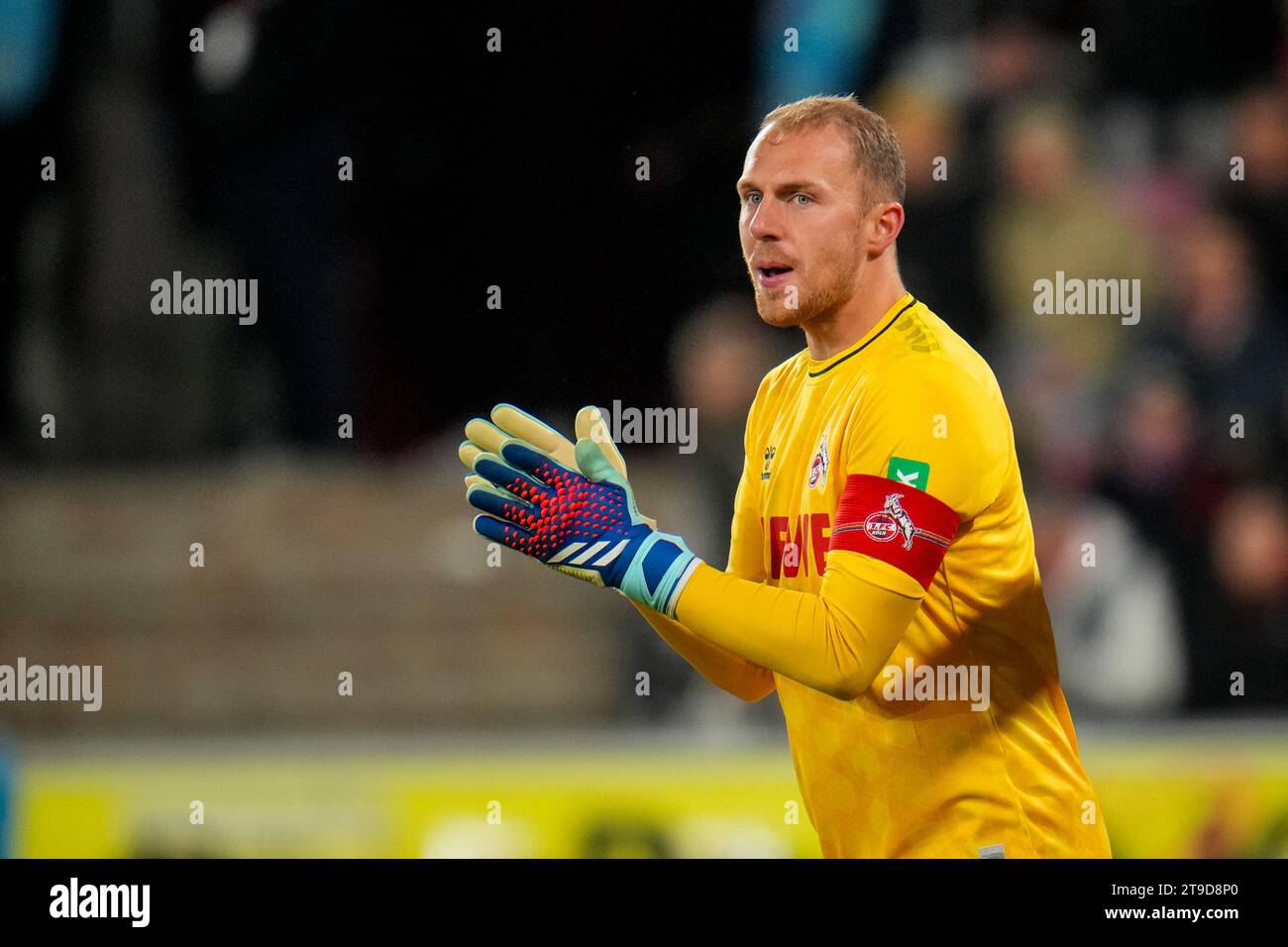 Cologne, Germany. 24th Nov, 2023. COLOGNE, GERMANY - NOVEMBER 24: Goalkeeper Marvin Schwabe of 1. FC Koln applauds during the Bundesliga match between 1. FC Koln and FC Bayern Munchen at the RheinEnergieStadion on November 24, 2023 in Cologne, Germany. (Photo by Rene Nijhuis/BSR Agency) Credit: BSR Agency/Alamy Live News Stock Photo