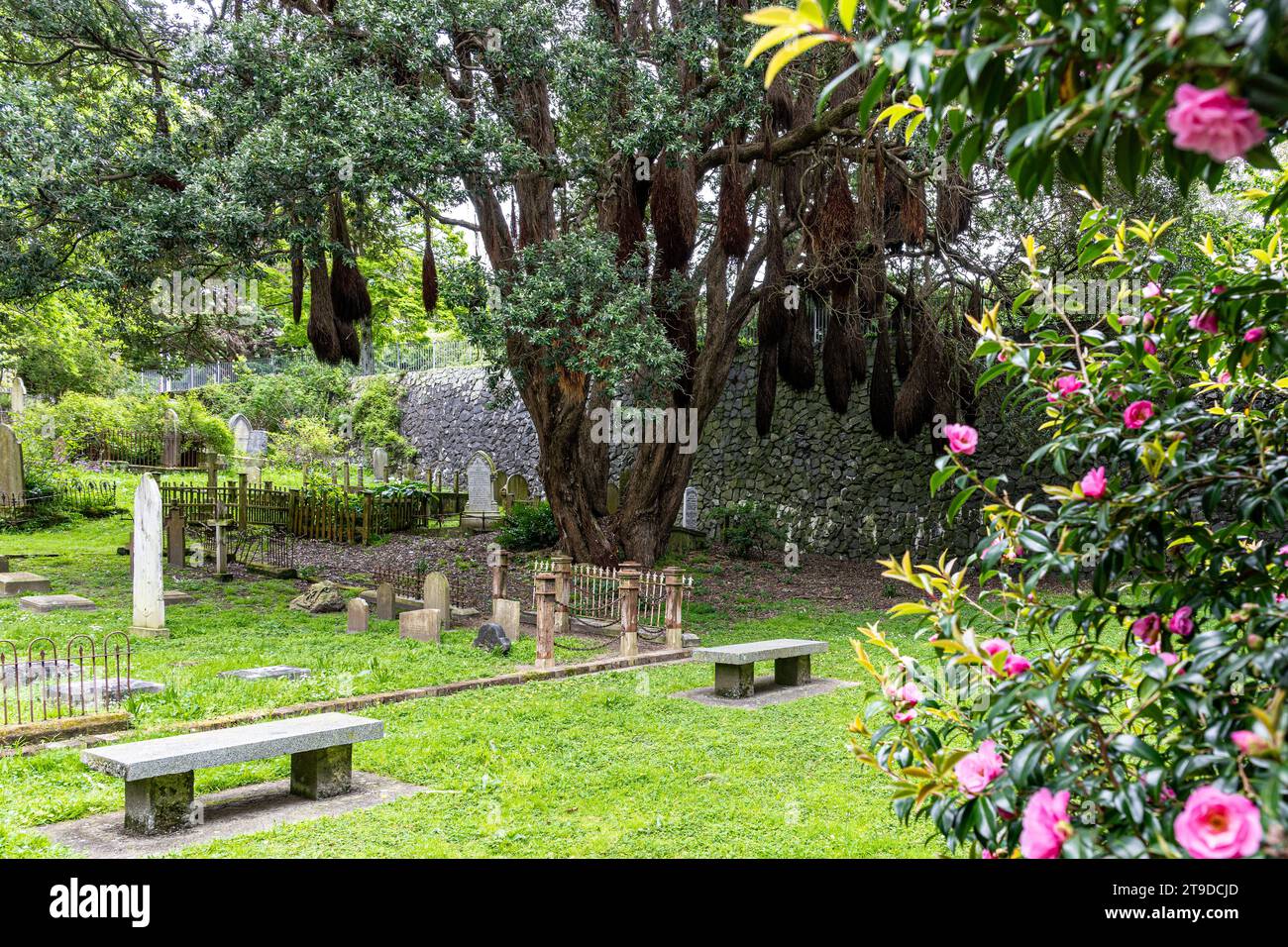 Bolton Street Memorial Park in Wellington New Zealand Stock Photo