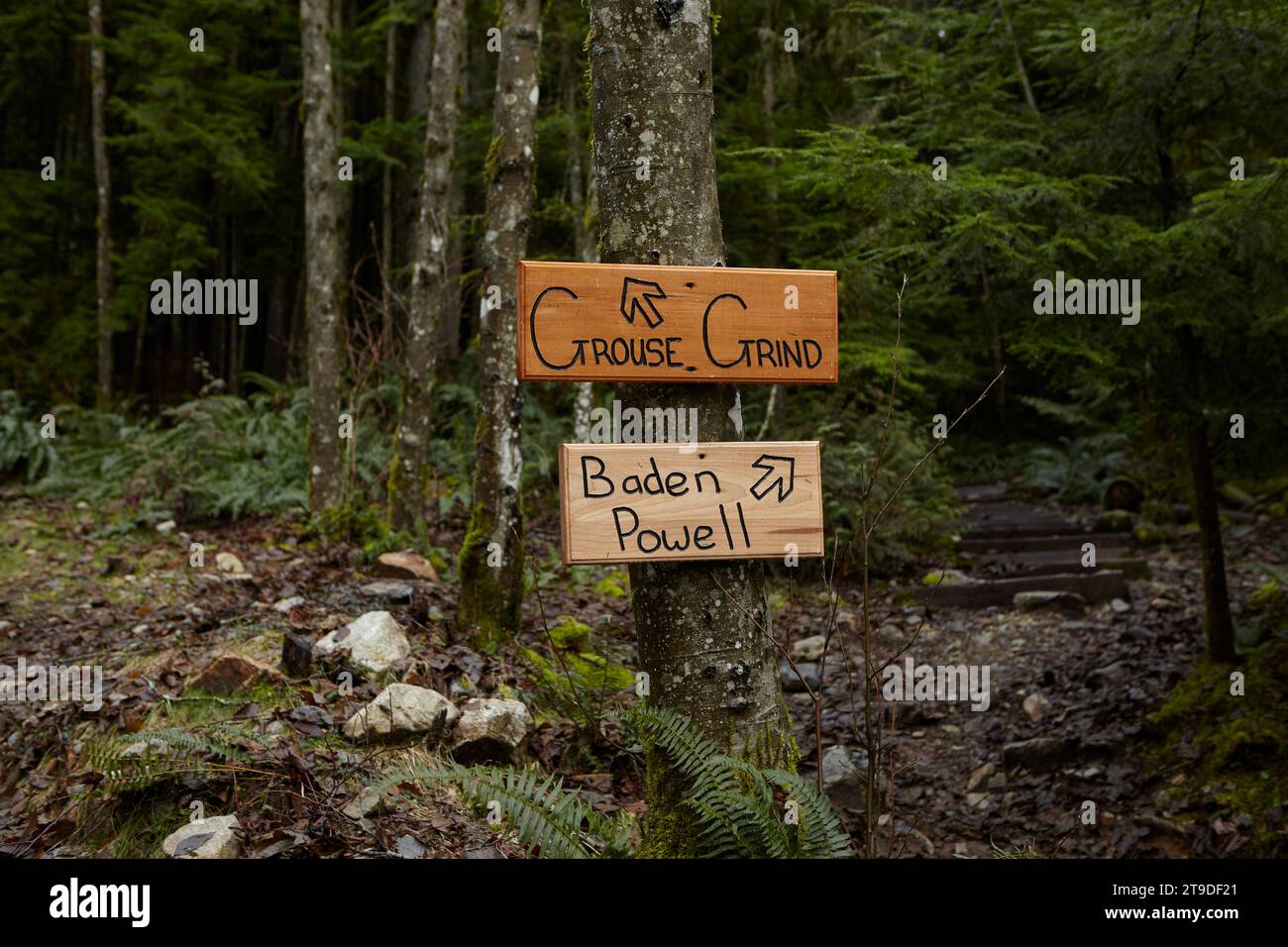 Grouse Grind and Baden Powell trail signs at trailhead on Grouse Mountain, popular hiking, running and fitness routes in North Vancouver. Stock Photo