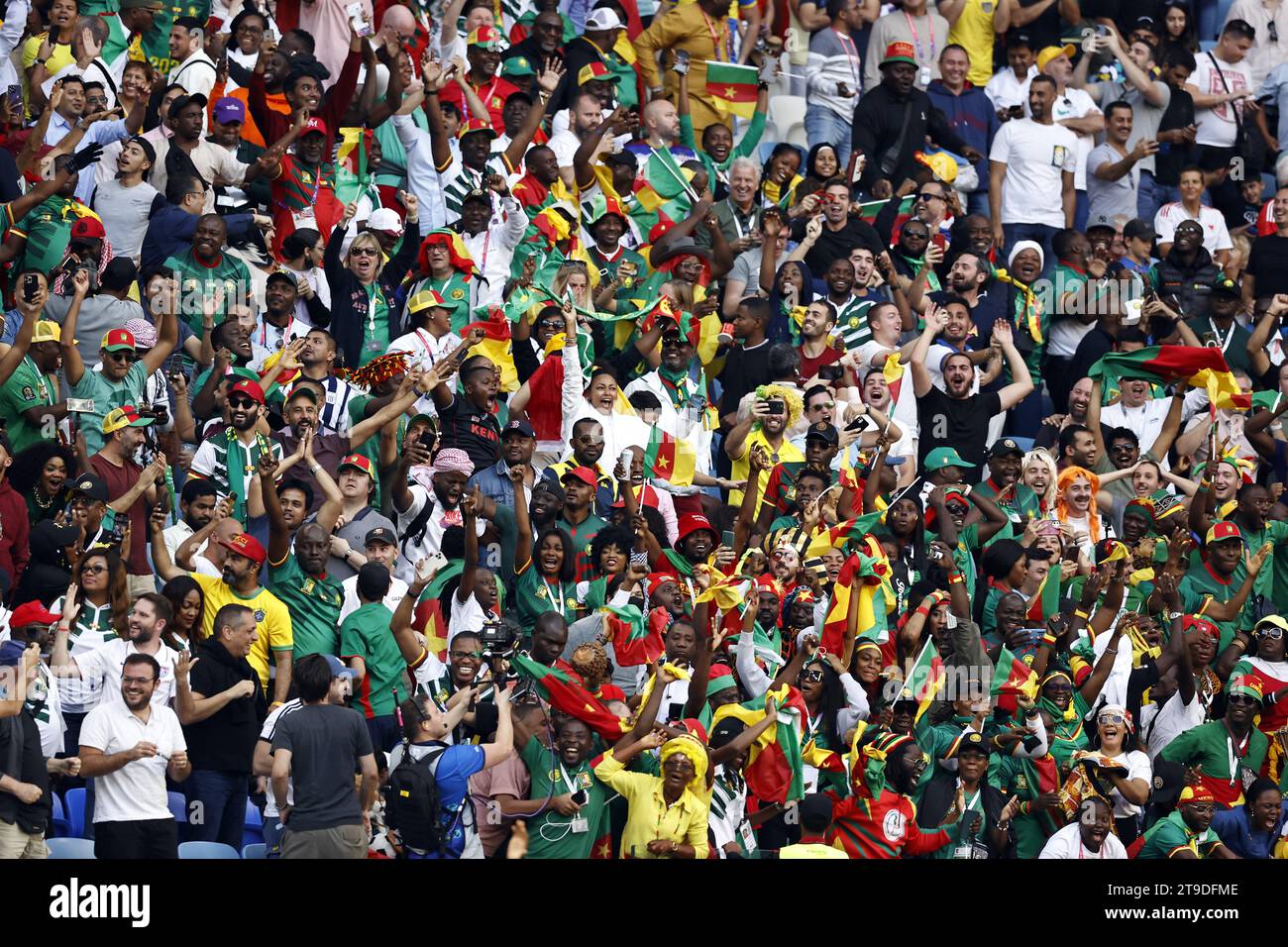AL WAKRAH - fans of Cameroon during the FIFA World Cup Qatar 2022 group G match between Cameroon and Serbia at Al Janoub Stadium on November 28, 2022 in Al Wakrah, Qatar. ANP | Hollandse Hoogte | MAURICE VAN STEEN Stock Photo