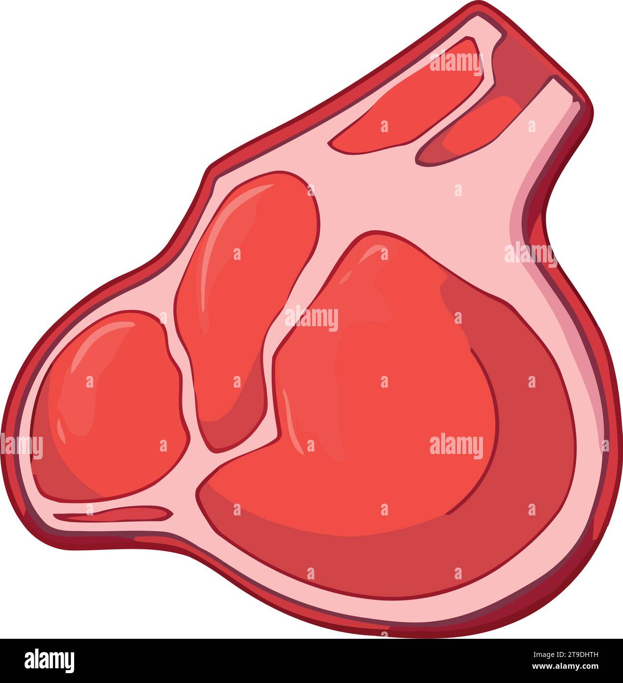 meat product illustration Stock Vector Image & Art - Alamy