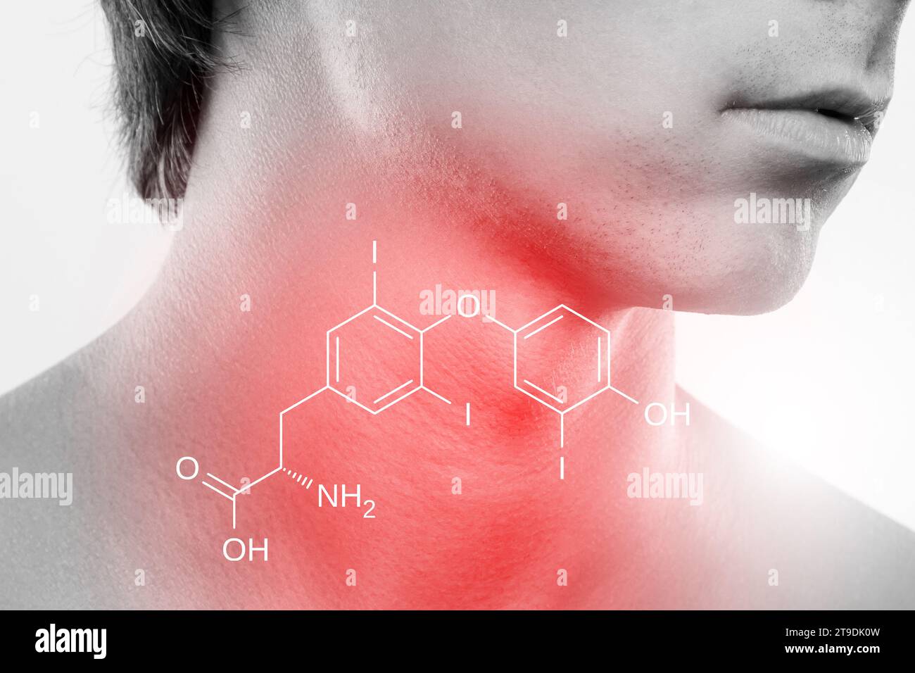 Male neck and triiodothyronine hormone formula produced by thyroid Stock Photo