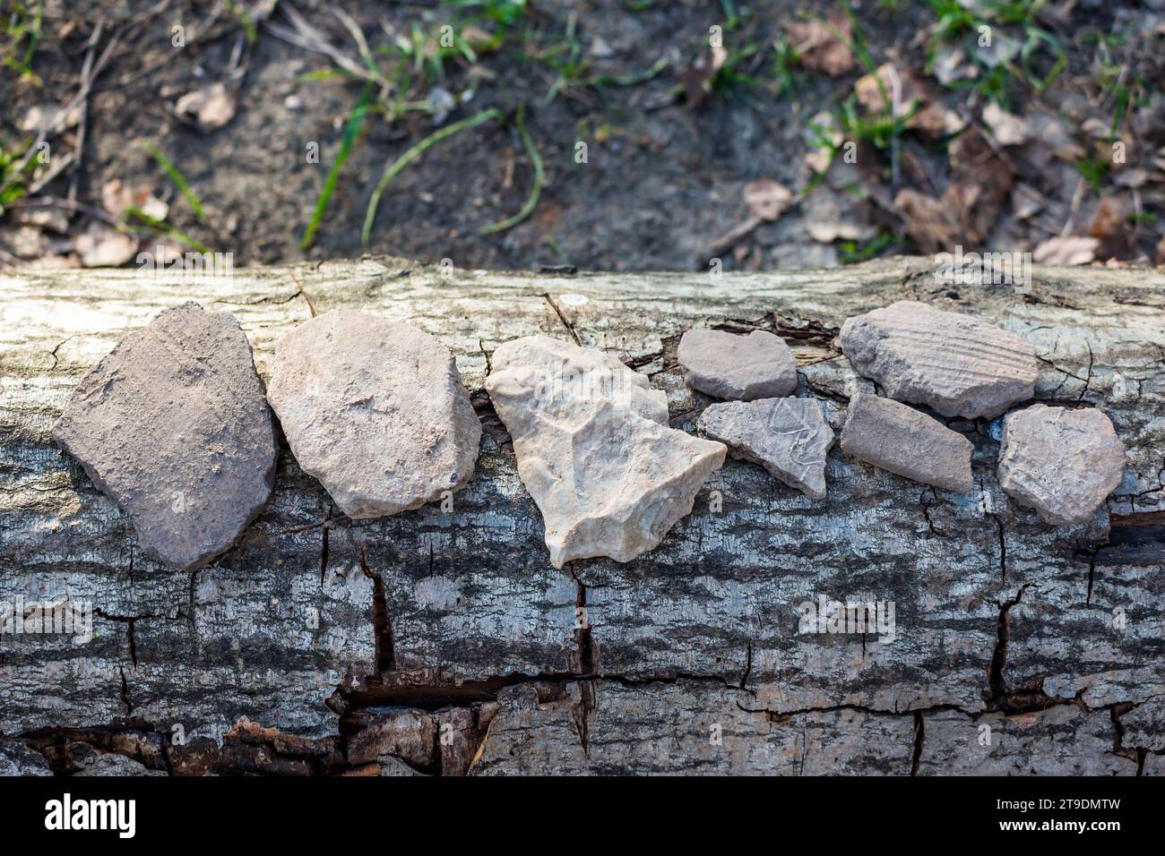 Fragments of ceramic vessels found in the ground at the site of a former settlement Stock Photo