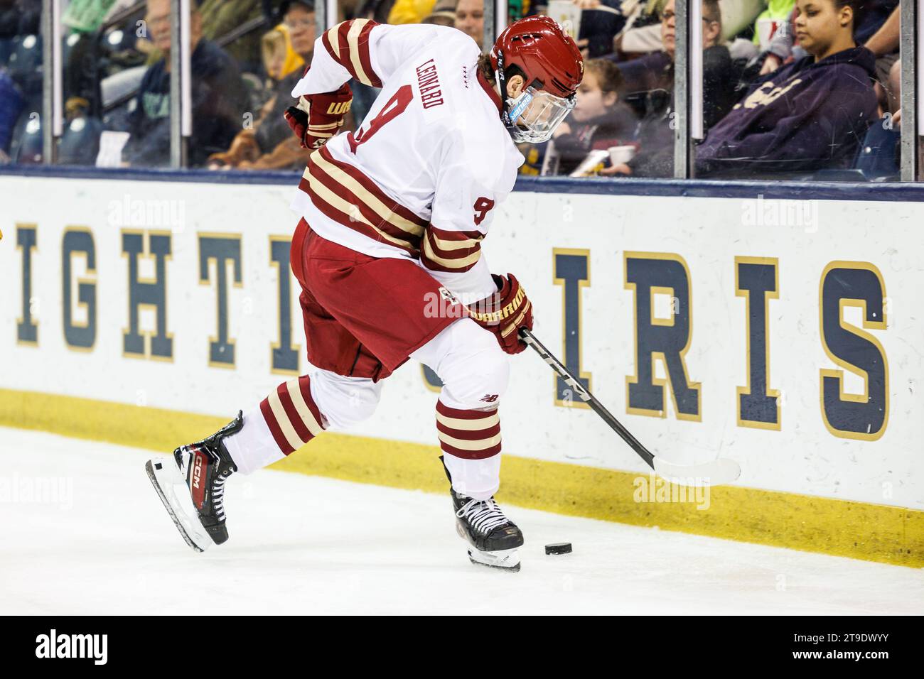 South Bend Indiana USA 24th Nov 2023 Boston College Forward Ryan south-bend-indiana-usa-24th-nov-2023-boston-college-forward-ryan