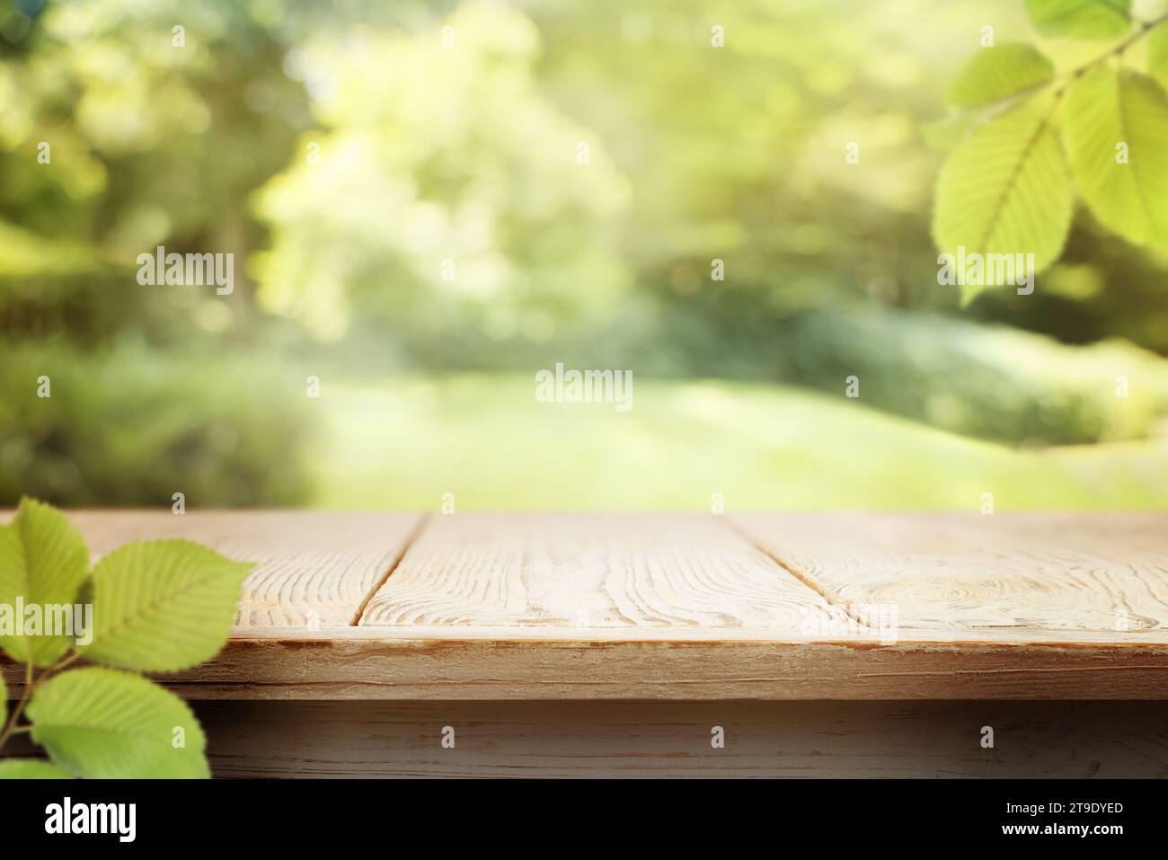 Empty botanic park summer sunny hi-res stock photography and images - Alamy