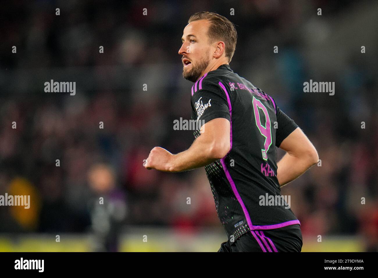 Cologne, Germany. 24th Nov, 2023. COLOGNE, GERMANY - NOVEMBER 24: Harry Kane of FC Bayern Munchen looks on during the Bundesliga match between 1. FC Koln and FC Bayern Munchen at the RheinEnergieStadion on November 24, 2023 in Cologne, Germany. (Photo by Rene Nijhuis/BSR Agency) Credit: BSR Agency/Alamy Live News Stock Photo