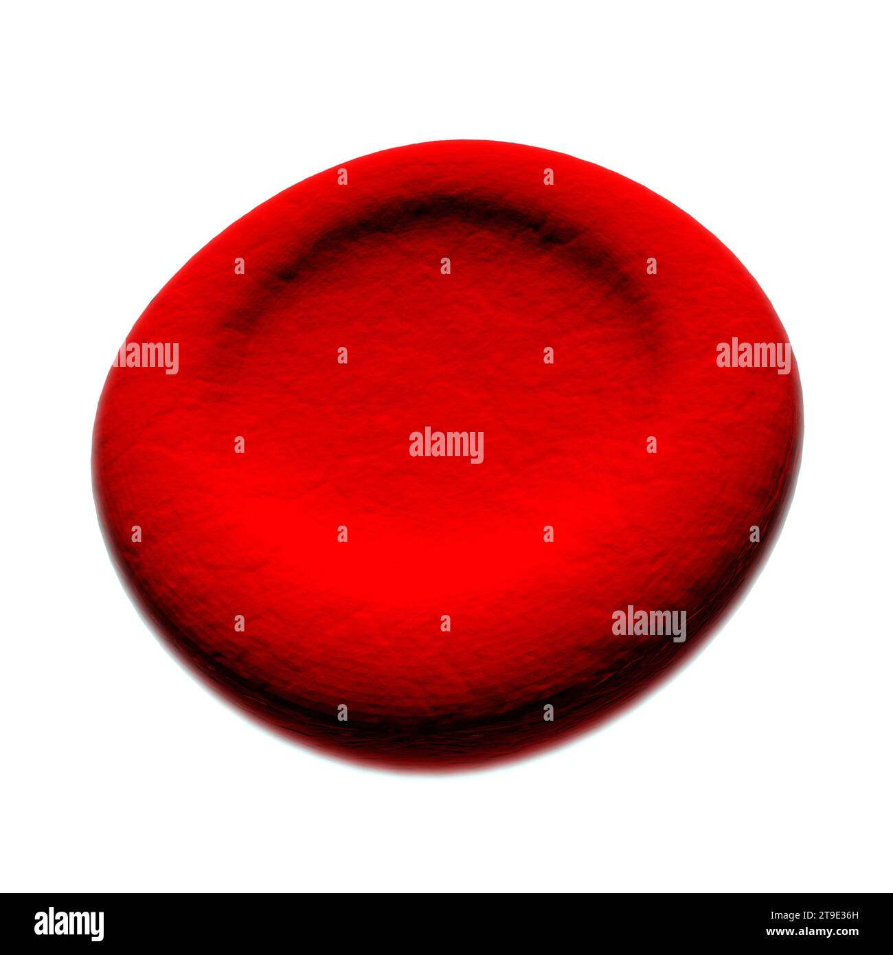 Macrocyte abnormal red blood cell, illustration Stock Photo