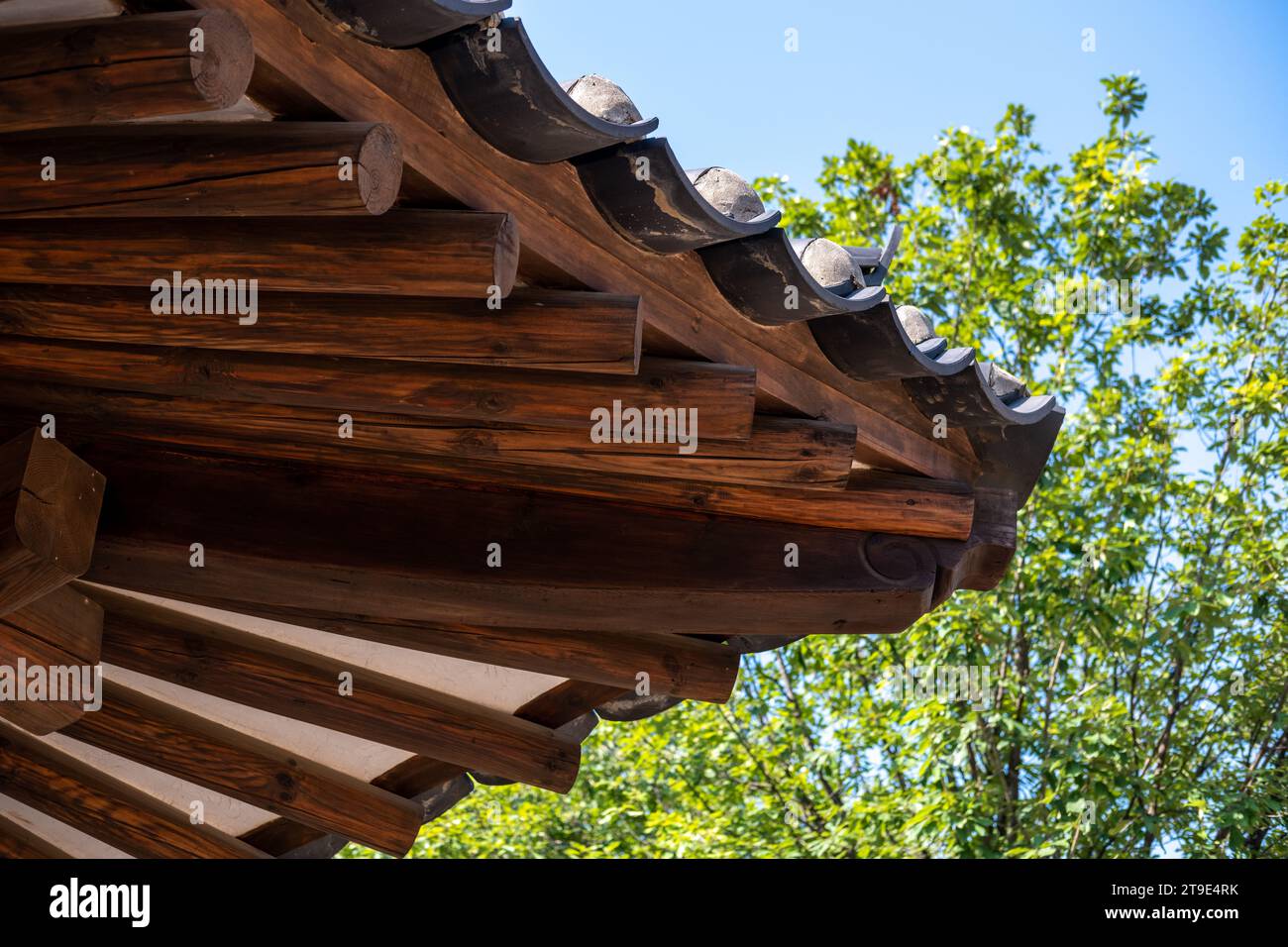 Close-up of Korean style traditional roof with greenery in the background Stock Photo