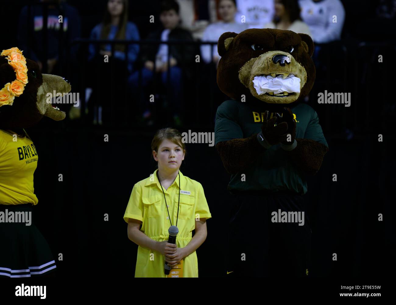 Ferrell Center Waco, Texas, USA. 22nd Nov, 2023. Baylor mascots during ...