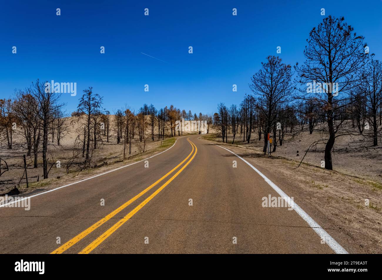 Part of the world's largest man-made forest burned in the Bovee Fire ...