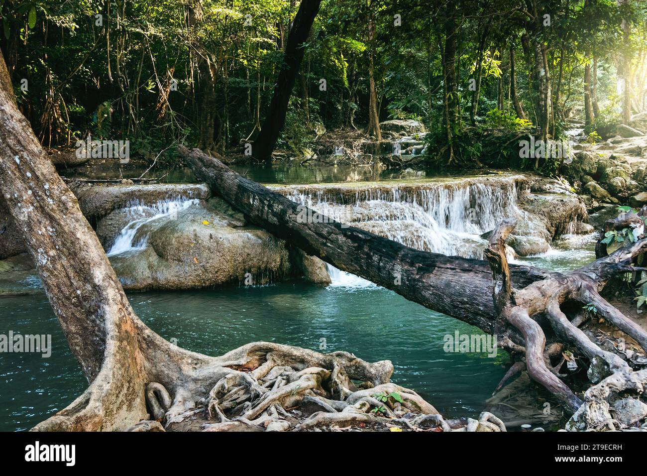 A beautiful scenery of a waterfall flowing into a river with clear ...