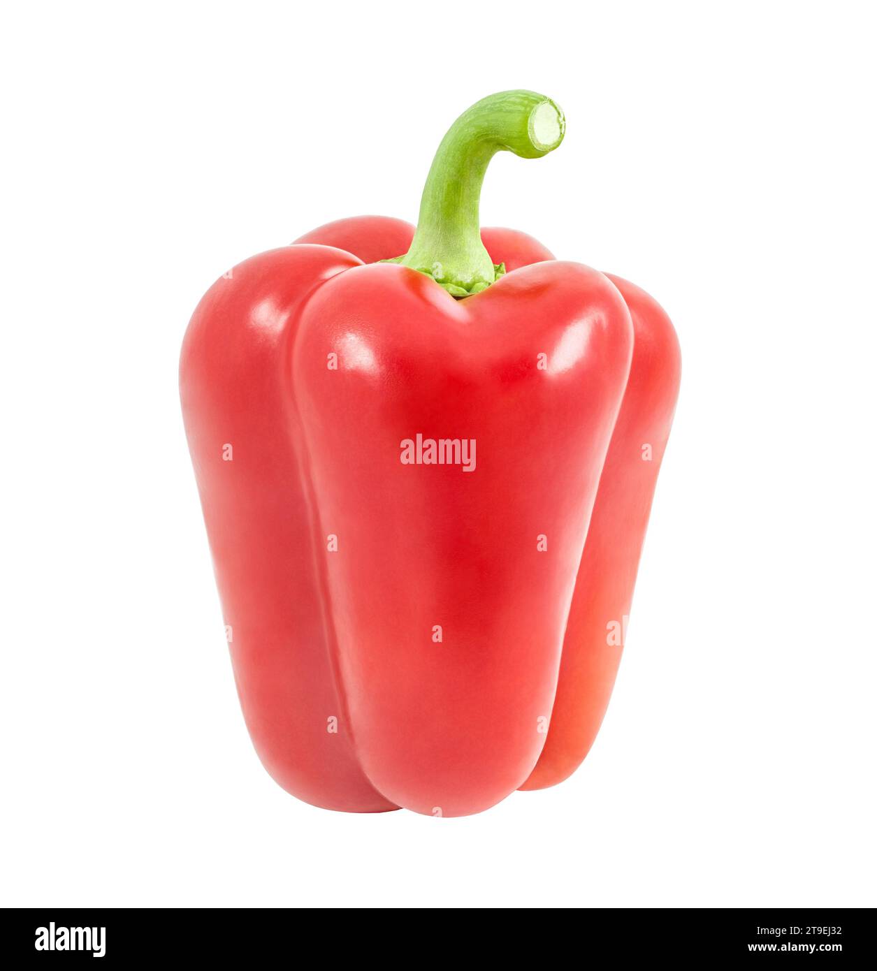 Pepper sweet red single isolated on white background with clipping path ...