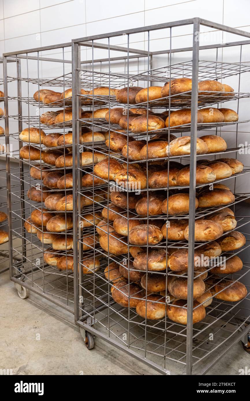 https://c8.alamy.com/comp/2T9EKCT/bread-bakery-factory-with-fresh-sourdough-bread-2T9EKCT.jpg