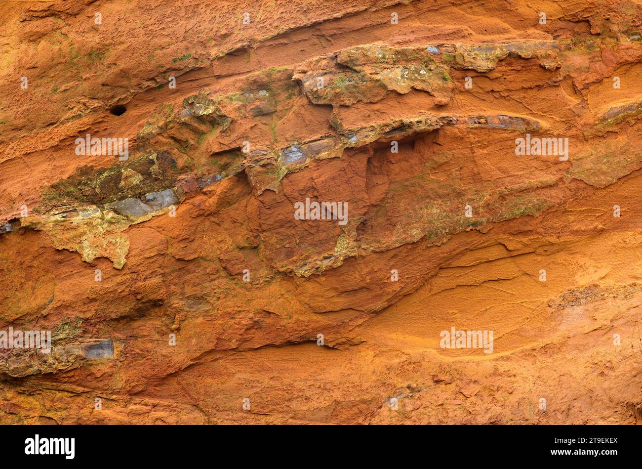 Lines and structures, reddish rock of limonite, Morsum Cliff geotope, Morsum, North Sea island of Sylt, North Frisia, Schleswig-Holstein, Germany Stock Photo