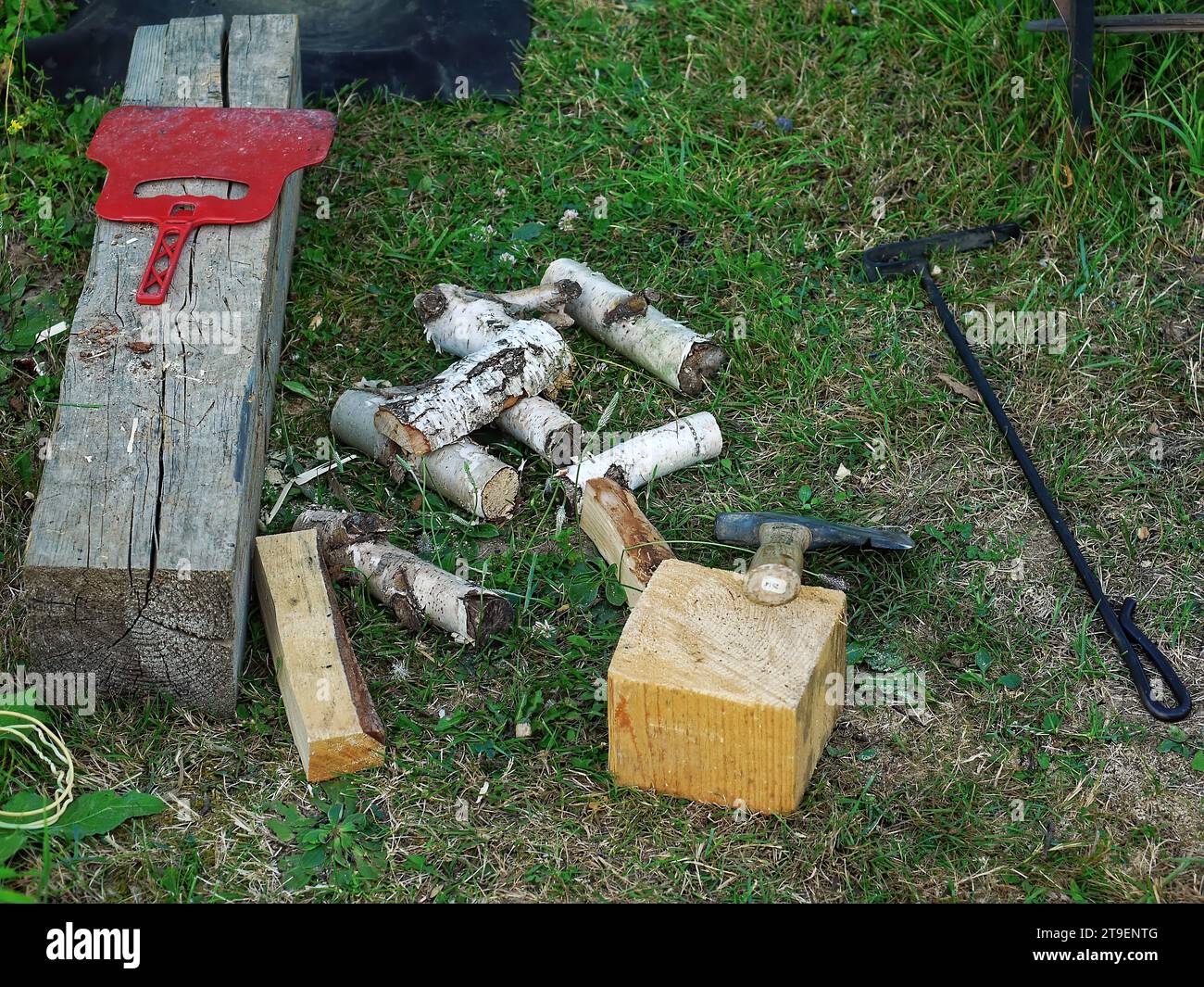 Firewood is lying near the barbecue, in the village Stock Photo