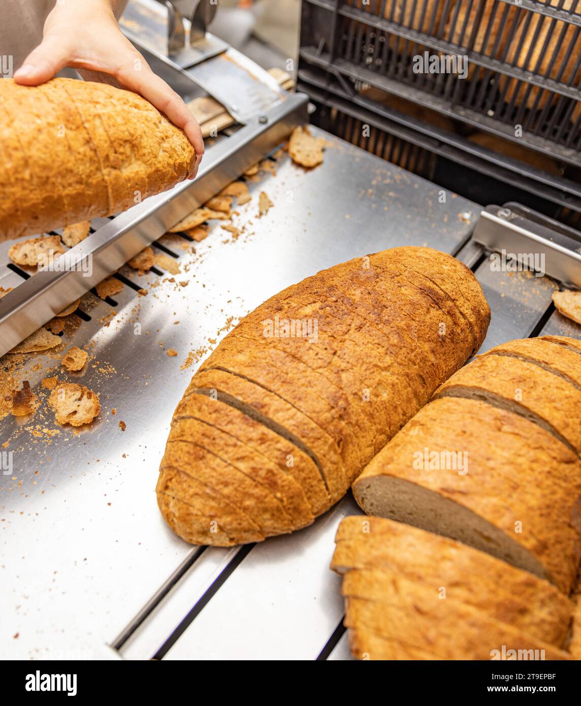 1,600+ Bread Slicer Stock Photos, Pictures & Royalty-Free Images - iStock