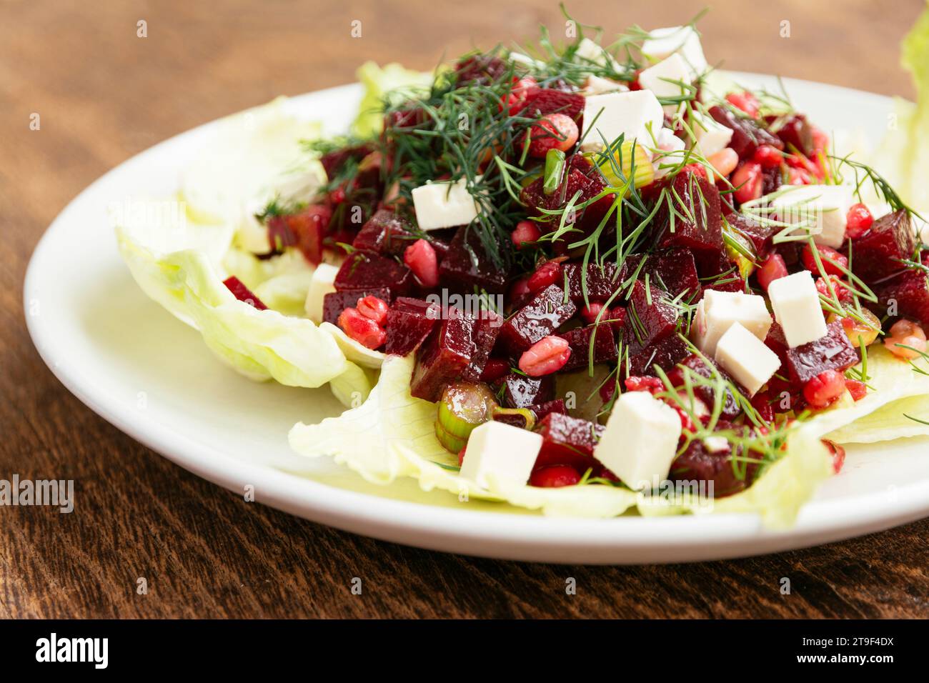 Beet and Barley Salad with Dill Dressing and Soy Cheese Stock Photo