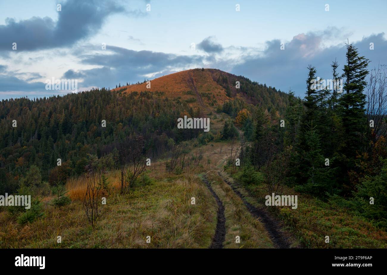 Autumn in Beskid region of Carpathians Mountains, Ukraine Stock Photo