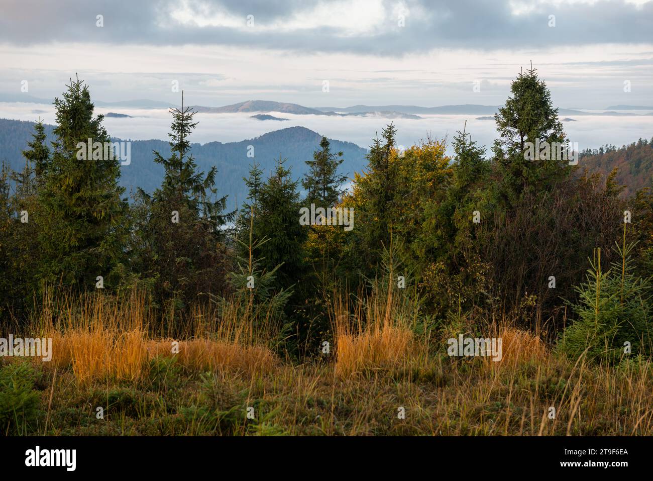 Autumn in Beskid region of Carpathians Mountains, Ukraine Stock Photo