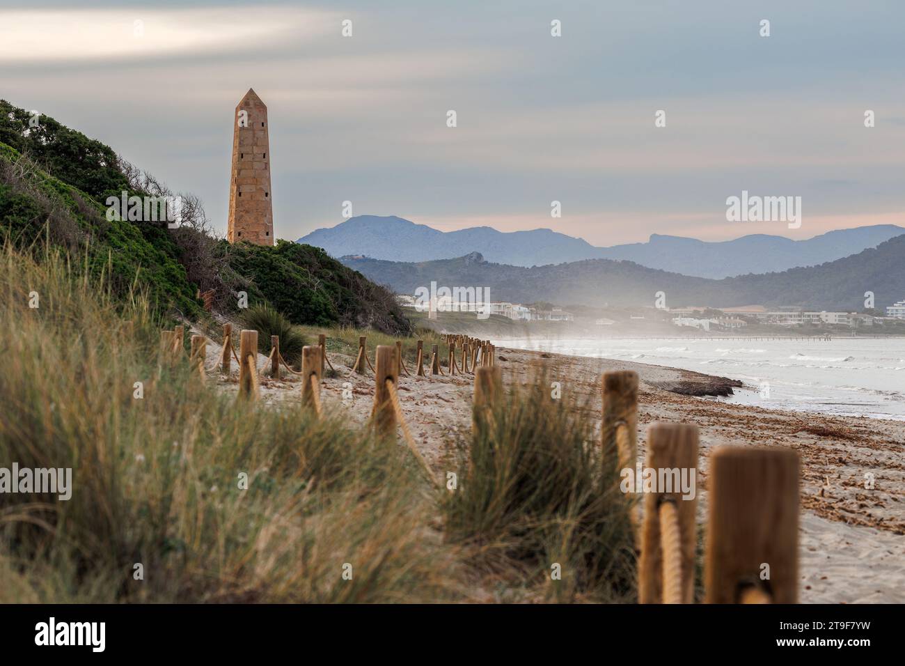 Beach Playa del Muro with Alcudia pins tower in Mallorca, Balearic islands, Spain. Travel destination between Alcudia and Can Picafort Stock Photo