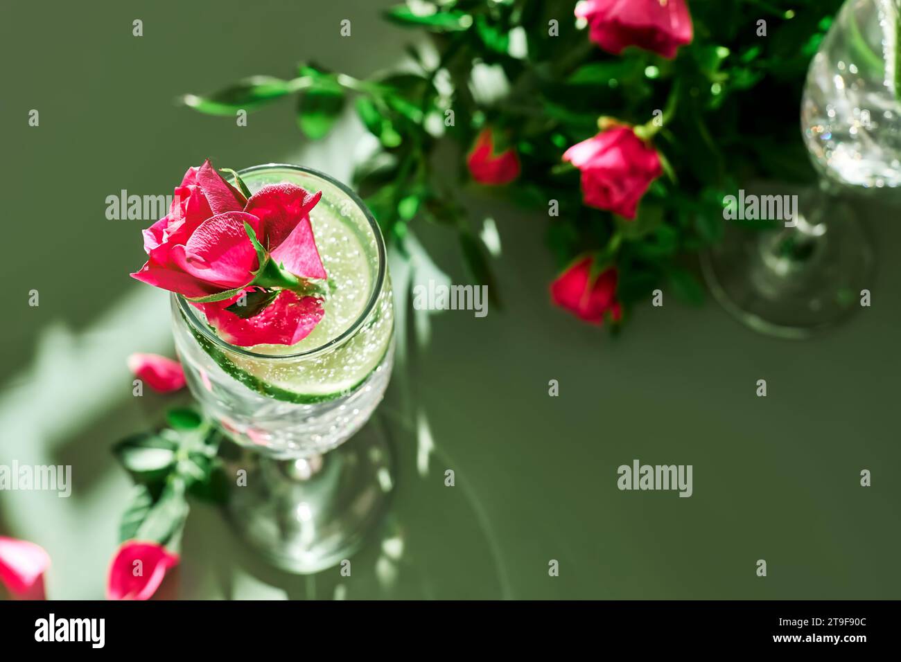 Delicious refreshing champagne drink with lemon and roses on green background. Sparkling wine with flowers and lime of rose lemon spritzer Stock Photo