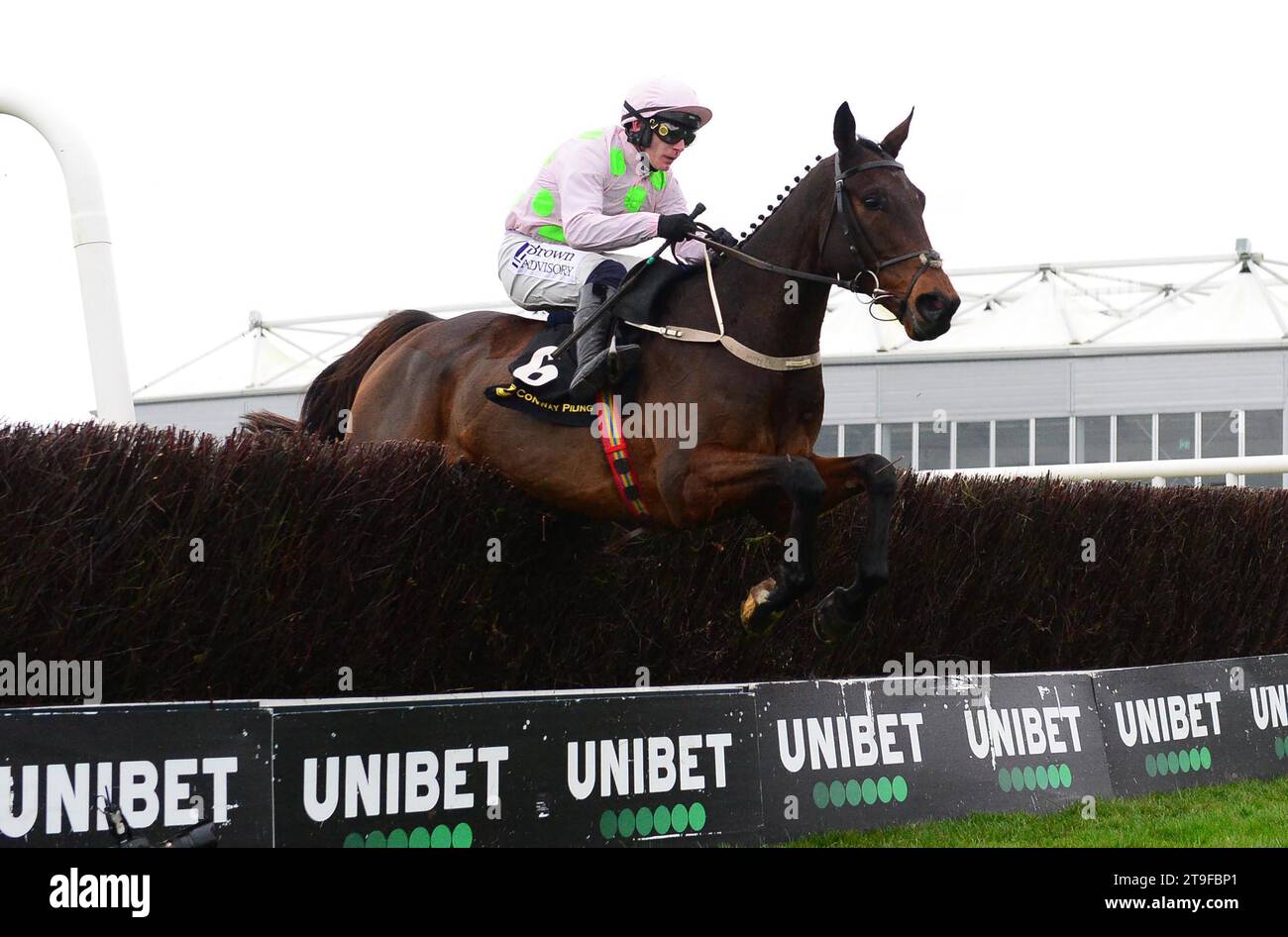 Gaelic Warrior ridden by jockey Paul Townend on their way to winning the Conway Piling Beginners Chase during day one of the Punchestown Winter Festival at Punchestown Racecourse. Picture date: Saturday November 25, 2023. Stock Photo
