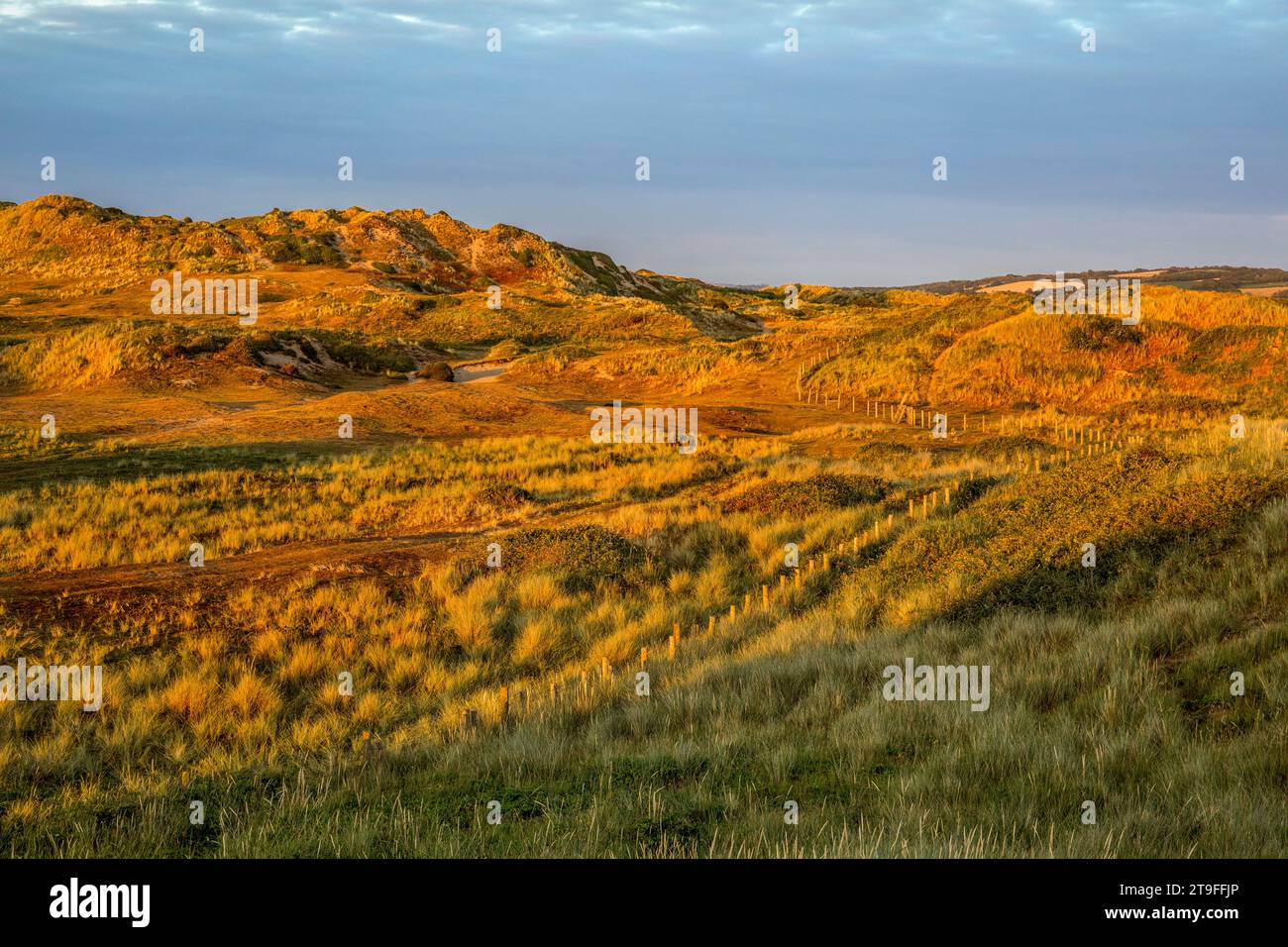 Braunton Burrows; Near Crow Point; Devon; UK Stock Photo