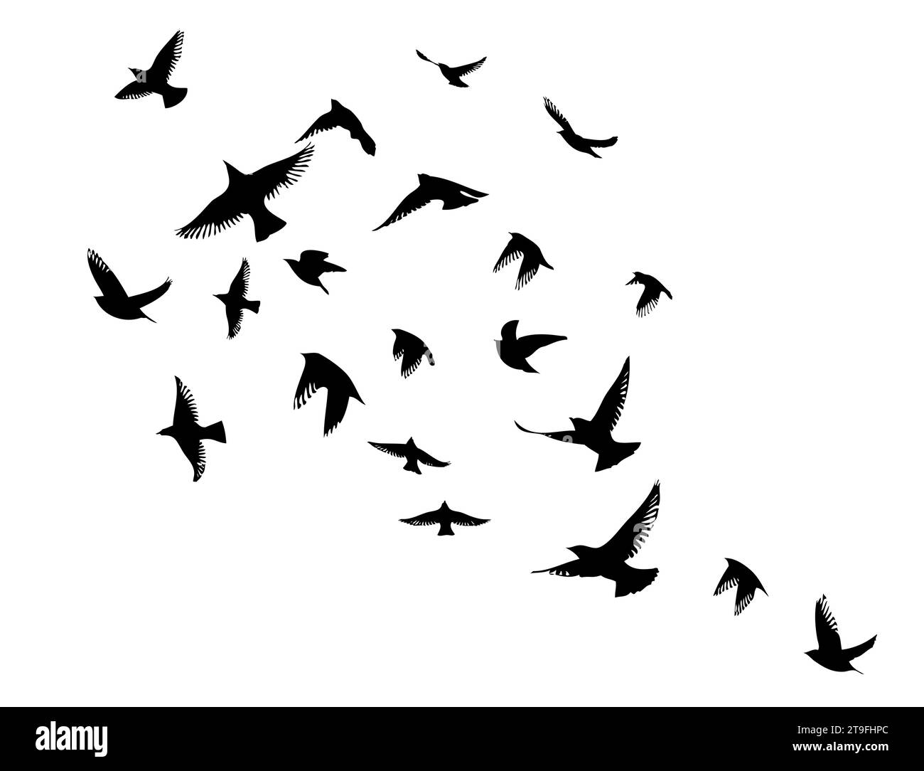 Flying birds silhouette flock. hand drawing. Not AI, Vector ...