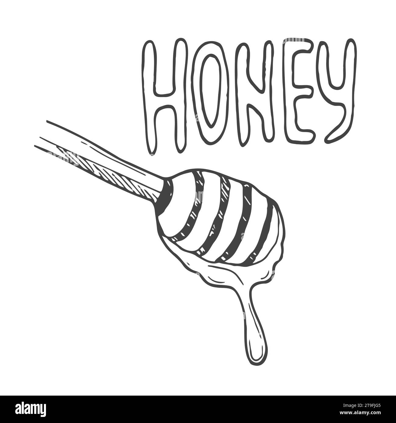 Honey lettering surrounded by bees and doodle flowers. Vector stylized background on a white background Stock Vector