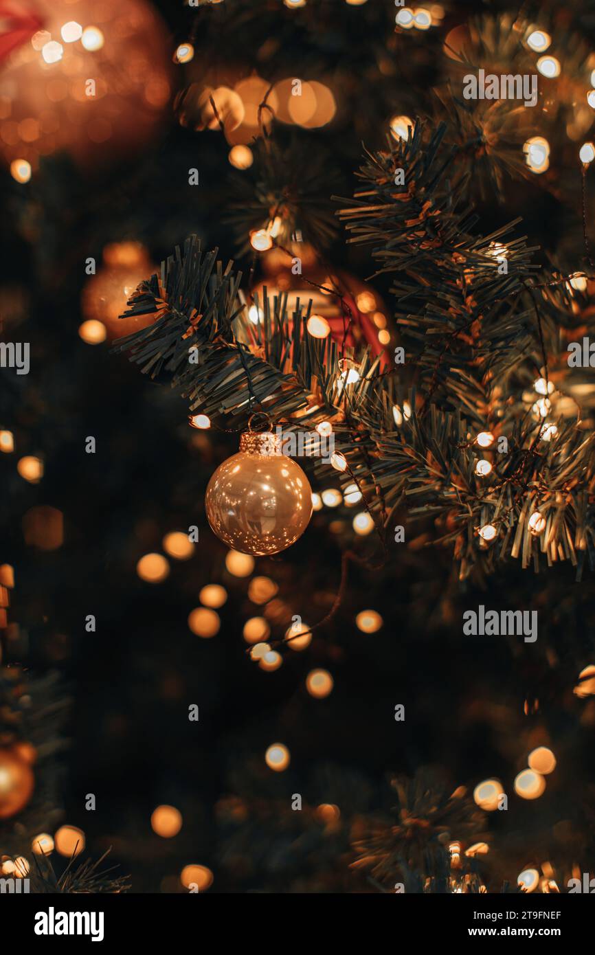 Golden Christmas ball hanging on a Christmas tree with golden garland ...