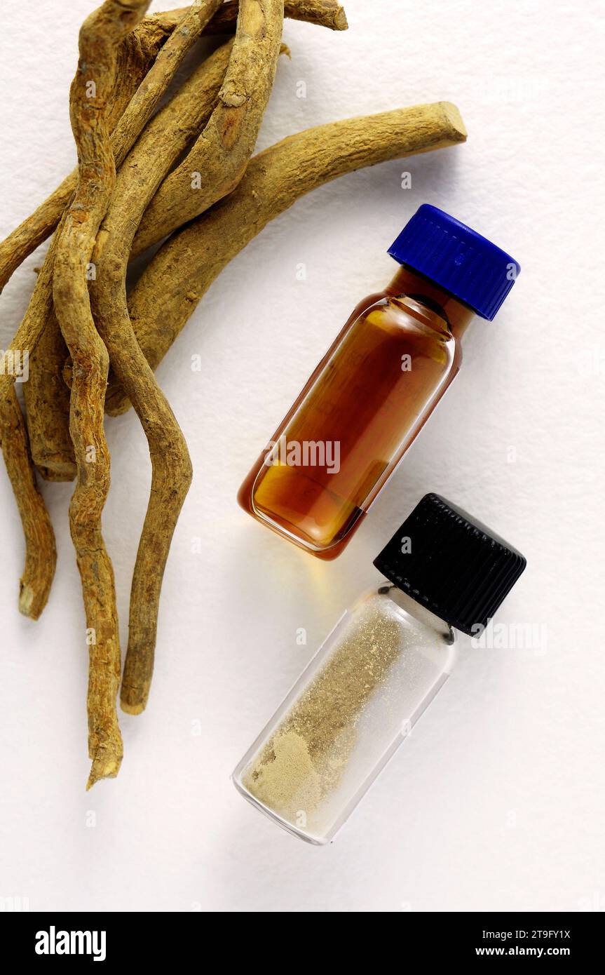 Tabernanthe iboga Roots, TPA HCl extract tincture 1.50, TPA-HCl 95% (Ibogaine) Stock Photo