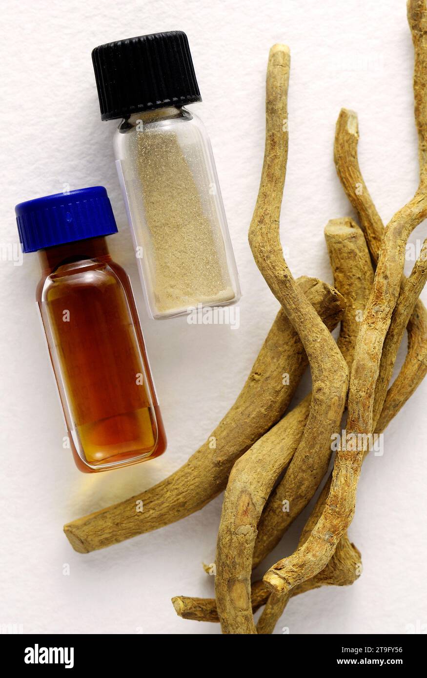 Tabernanthe iboga Roots, TPA HCl extract tincture 1.50, TPA-HCl 95% (Ibogaine) Stock Photo