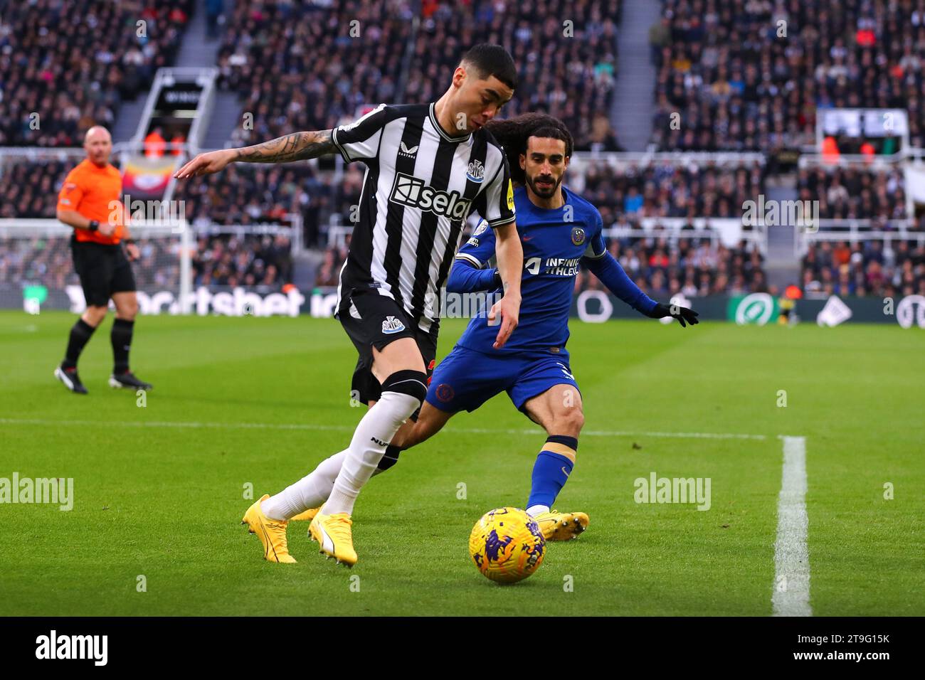 Newcastle, UK. 25th Nov, 2023. Miguel Almir-n #24 of Newcastle United defends possession during the Premier League match Newcastle United vs Chelsea at St. James's Park, Newcastle, United Kingdom, 25th November 2023 (Photo by Ryan Crockett/News Images) Credit: News Images LTD/Alamy Live News Stock Photo