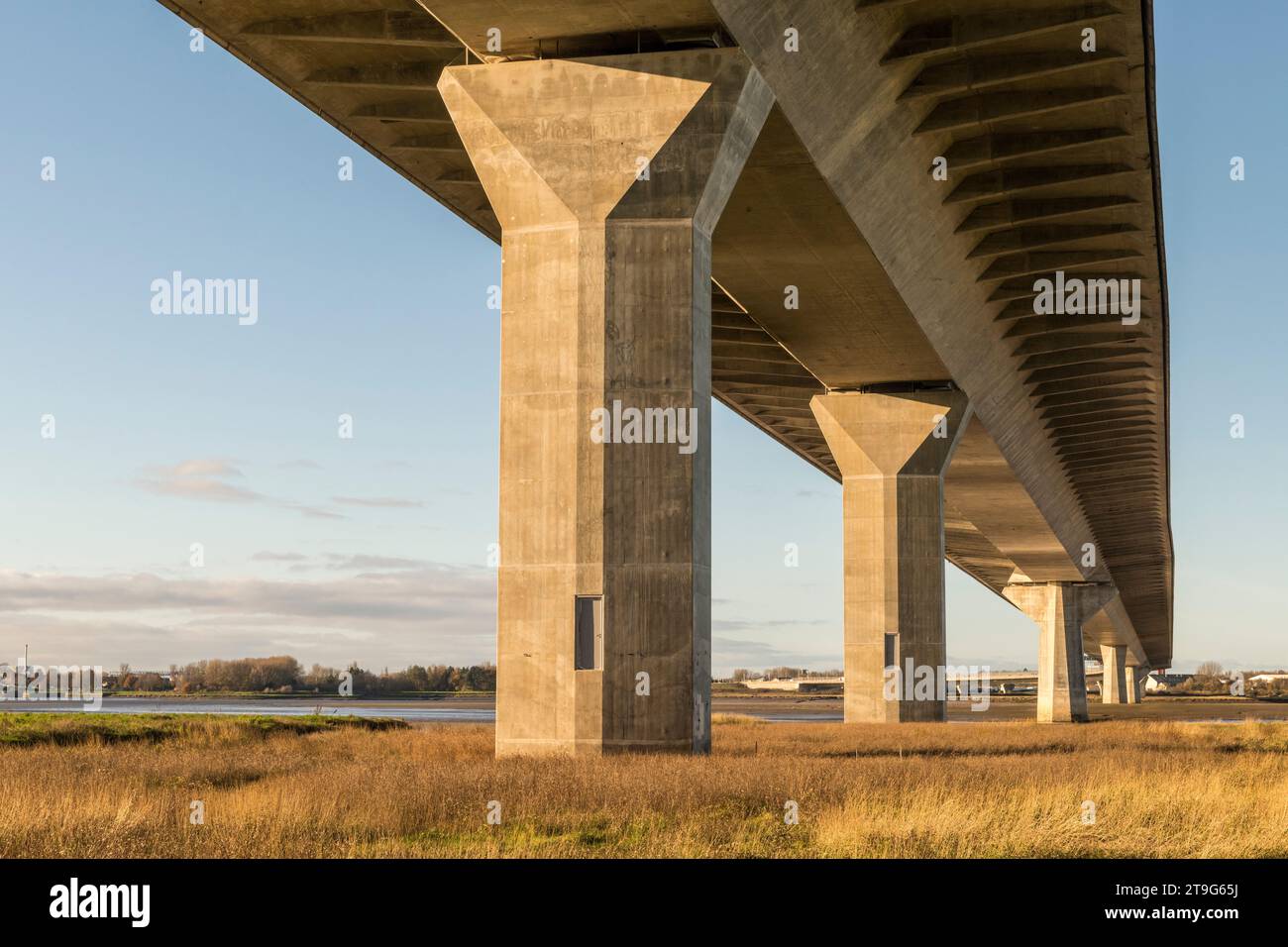 A view underneath the Mersey Gateway Bridge, which crosses the River Mersey and the Manchester Ship Canal and connects the towns of Runcorn and Widnes, both in Cheshire, UK. It opened in 2017 and is of cable-stayed design. The view is taken from Wigg Island, now a community nature reserve Stock Photo