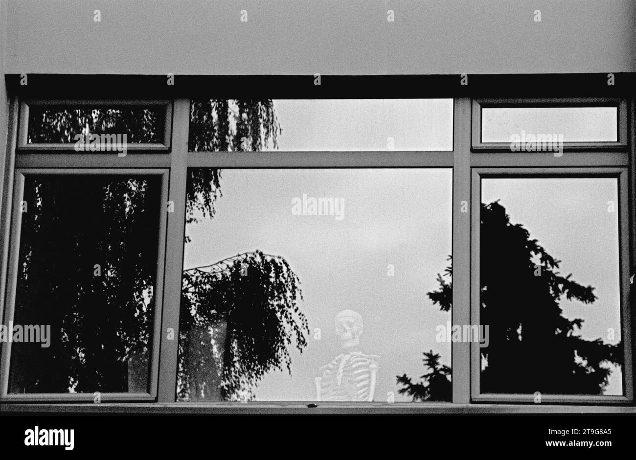 SKELETON AT THE WINDOW - BELGRADE SERBIA - STREET PHOTOGRAPHY - SILVER FILM © photography : F.BEAUMONT Stock Photo