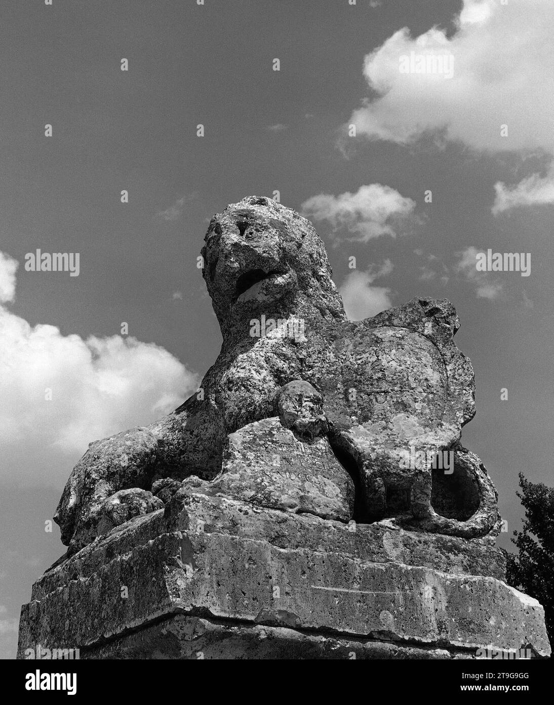 LEON EN EL PUENTE SOBRE EL RIO JARAMA FOTOGRAFIA EN BLANCO Y NEGRO