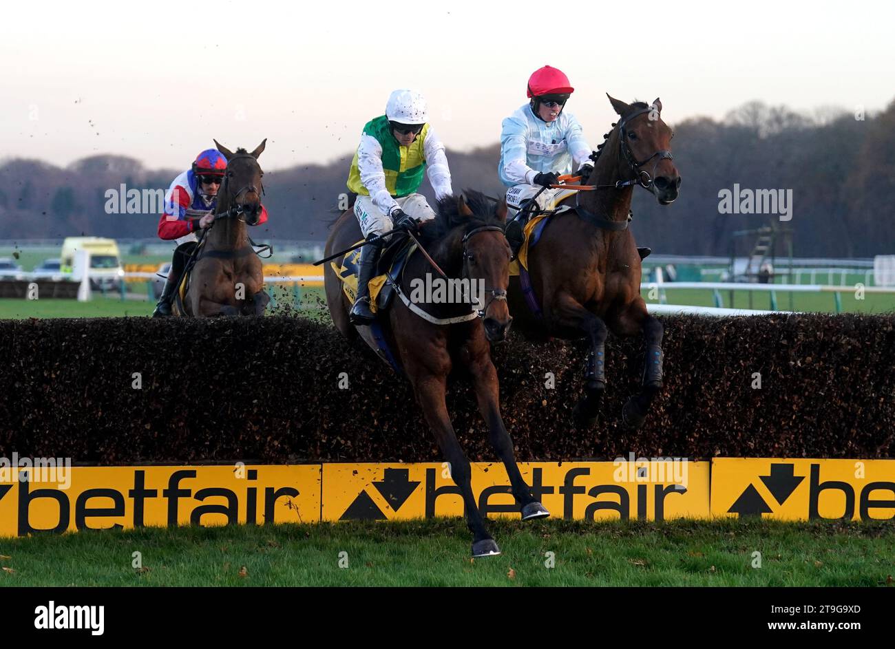 Famous Bridge ridden by Sean Quinlan wins The Betfair 'Free Racing Multiple Today' Handicap Chase during Betfair Chase Day at Haydock Park Racecourse. Picture date: Saturday November 25, 2023. Stock Photo