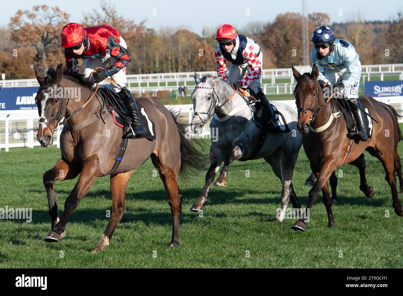 Ascot, Berkshire, UK. 25h November, 2023. Horse Farnoge ridden by jockey Harry Cobden clear a hurdle before winning the Bet With Ascot Donation Box Scheme Novices’ Hurdle Race at Ascot Racecourse at the November Racing Saturday Meeting. Owner JCG Chia & I Warwick. Trainer Paul Nicholls, Ditcheat. Credit: Maureen McLean/Alamy Live News Stock Photo