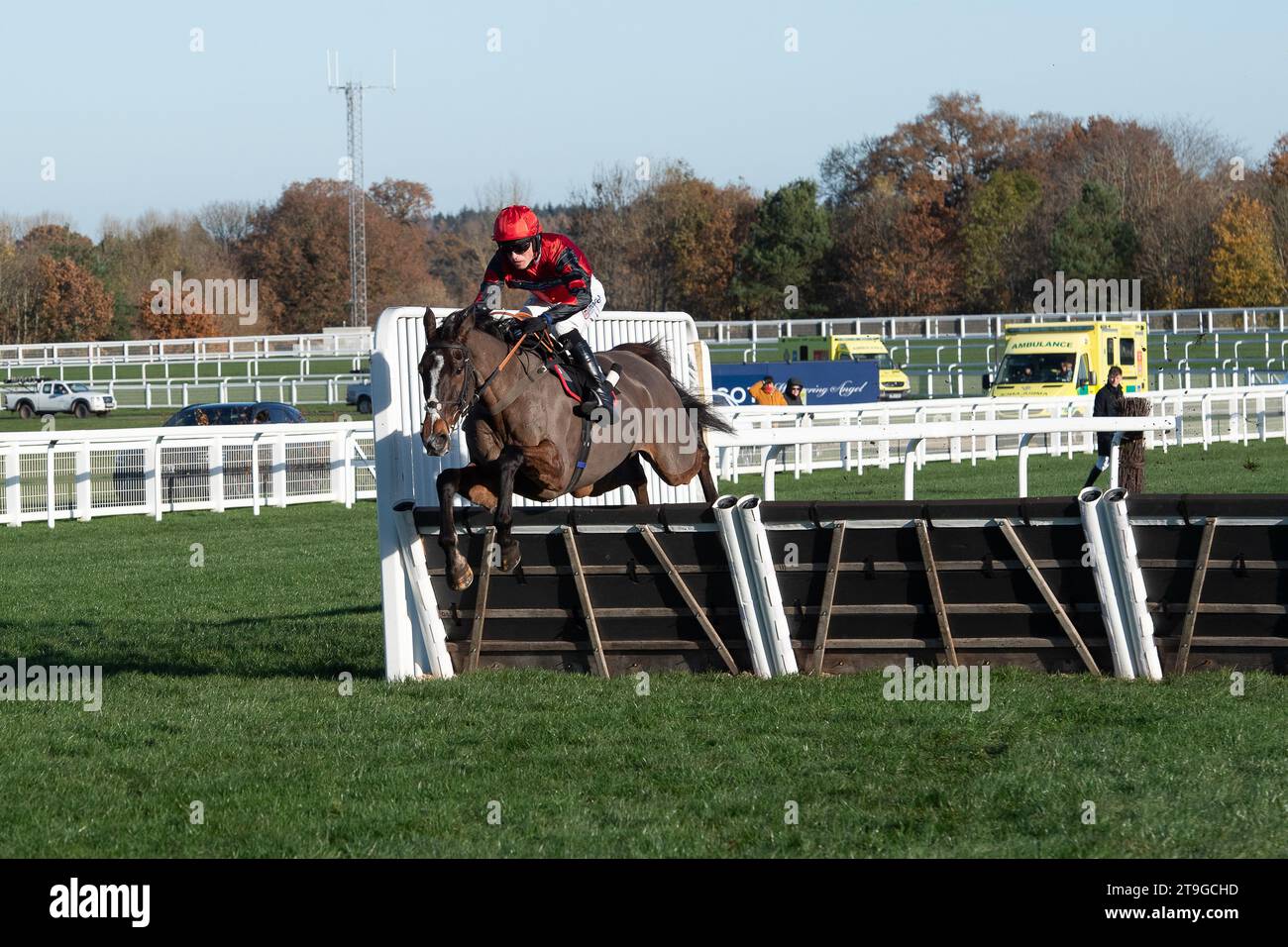 Ascot, Berkshire, UK. 25h November, 2023. Horse Farnoge ridden by jockey Harry Cobden clears the last before winning the Bet With Ascot Donation Box Scheme Novices’ Hurdle Race at Ascot Racecourse at the November Racing Saturday Meeting. Owner JCG Chia & I Warwick. Trainer Paul Nicholls, Ditcheat. Credit: Maureen McLean/Alamy Live News Stock Photo