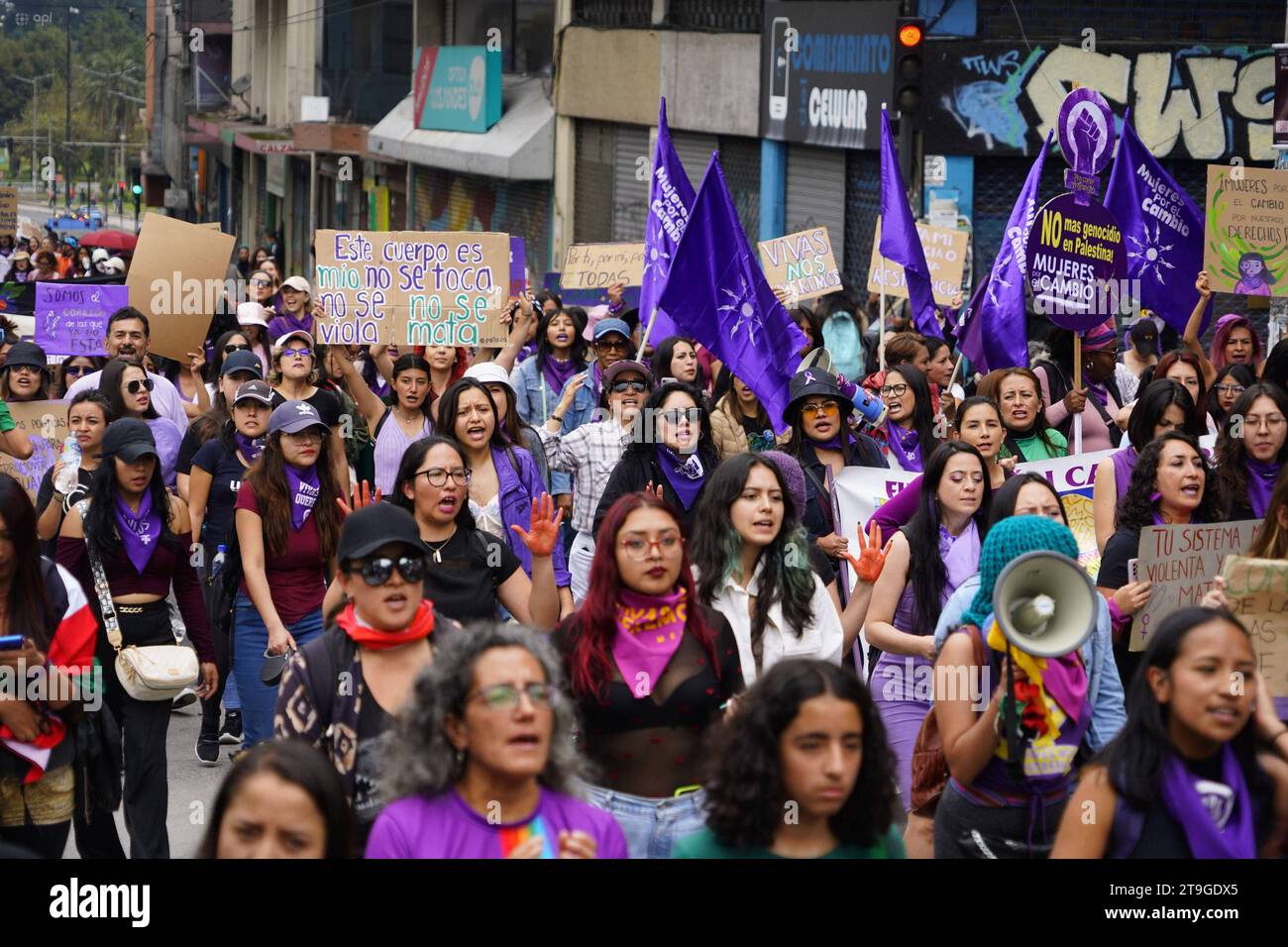 Marcha No Violencia A La Mujer Quito 25 De Noviembre 2023 Marcha Por El Dia De La No Violencia 5770