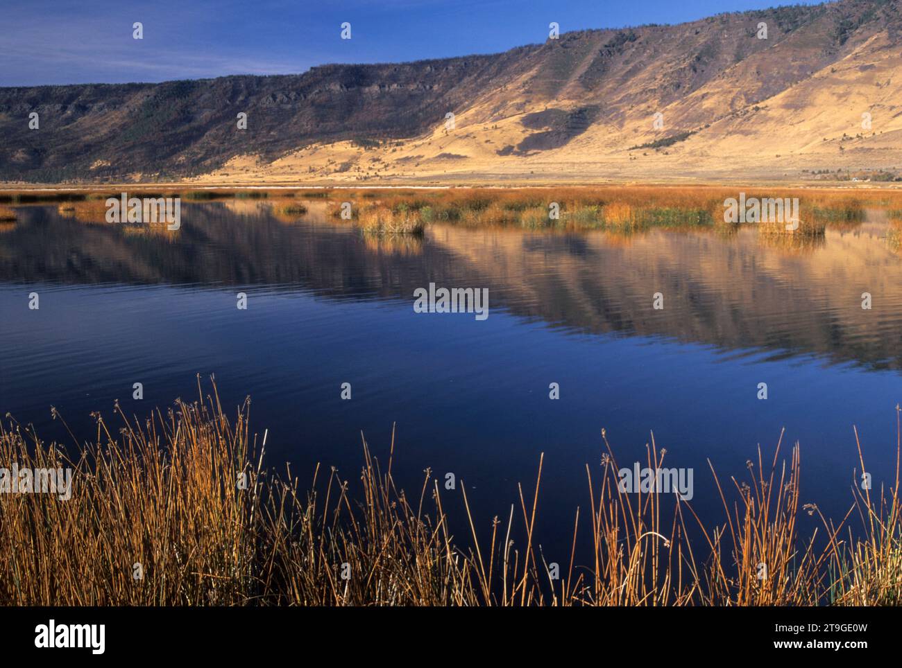 Ana River, Summer Lake Wildlife Area, Oregon Stock Photo Alamy