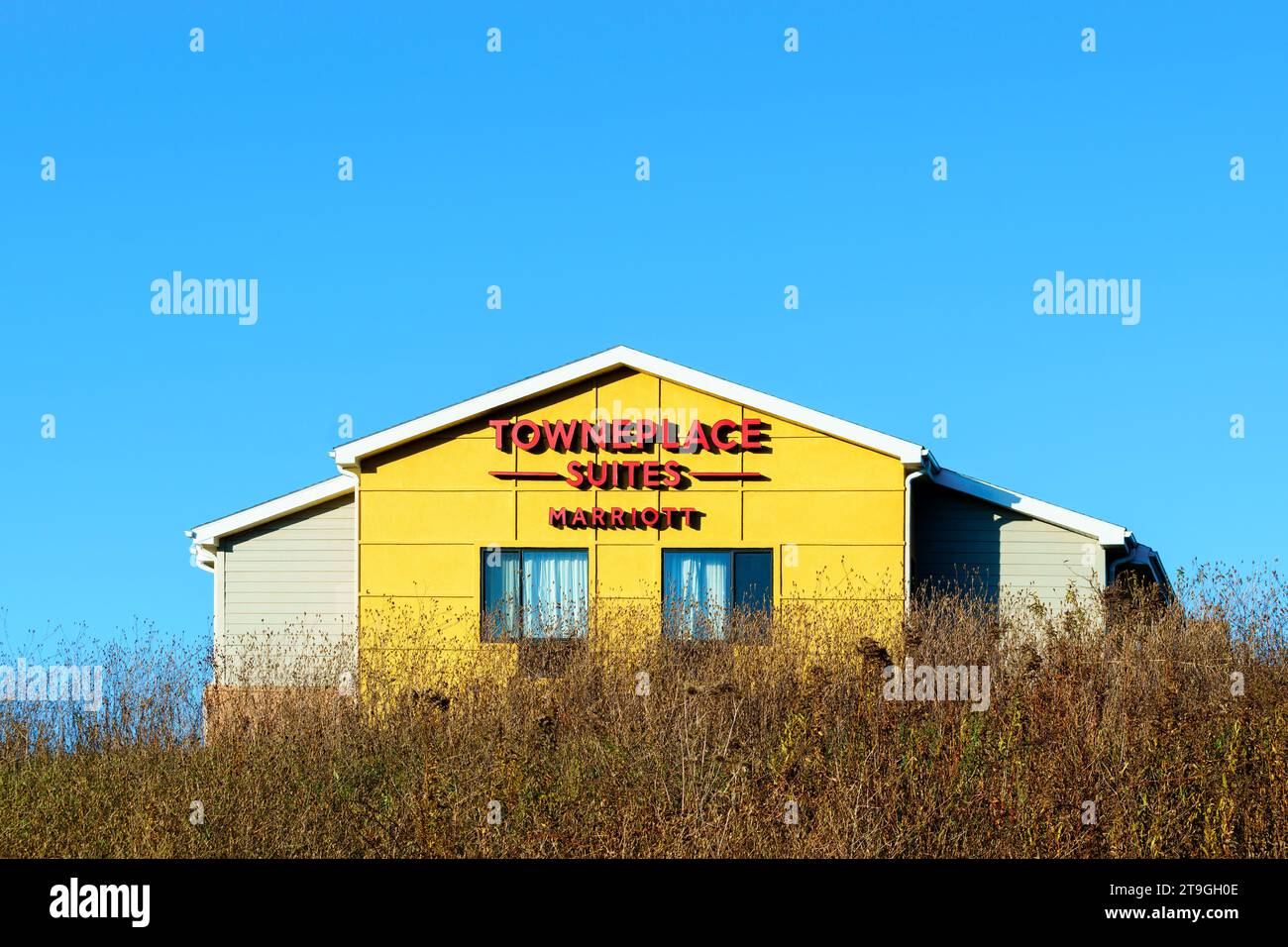 New Hartford, New York Nov 11, 2023 Landscape Loseup View of