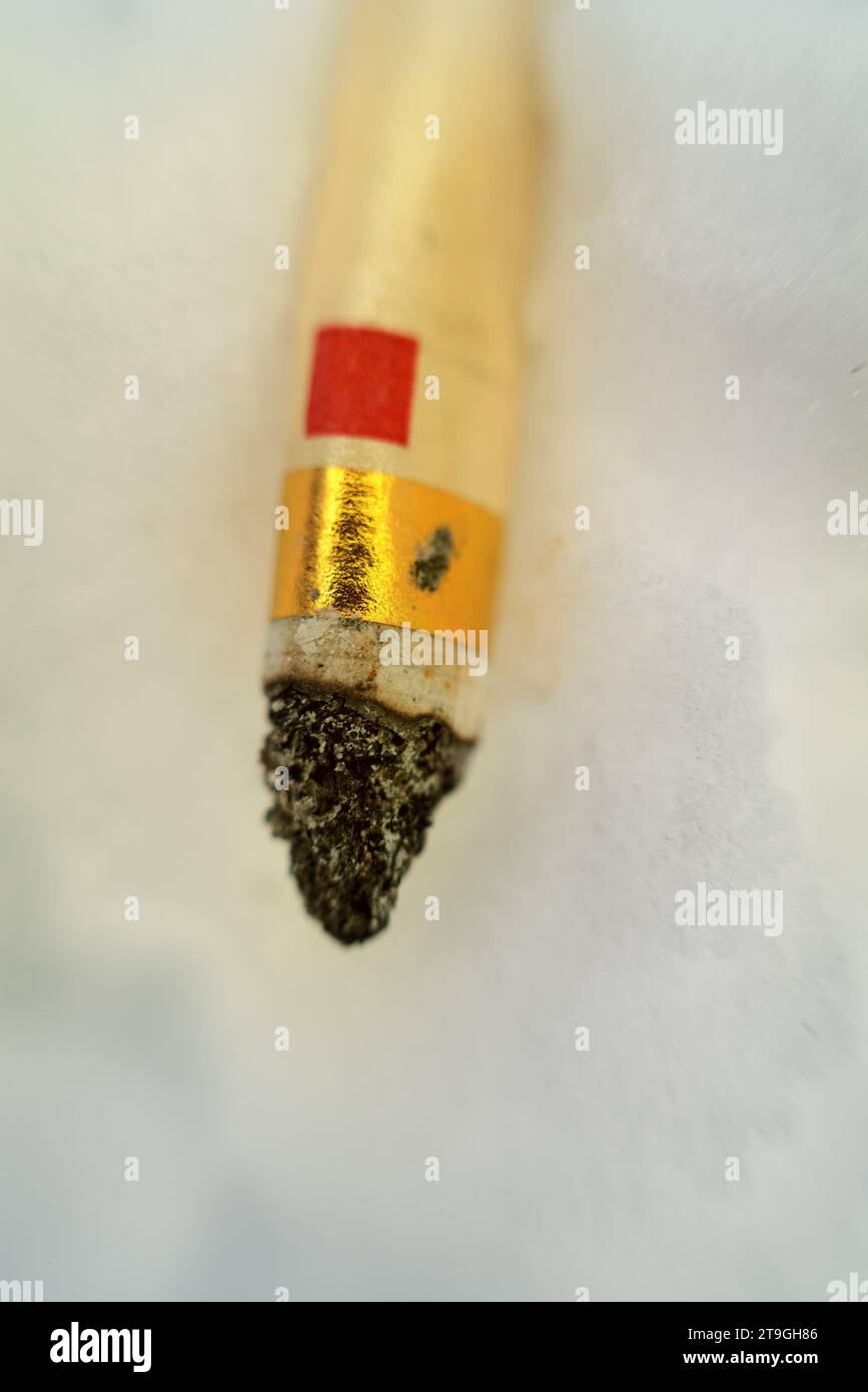 pine cigarette price in pakistan 2025 7 Pine Cigarettes ( Green) Per pcs – Shopping-D Service Platform