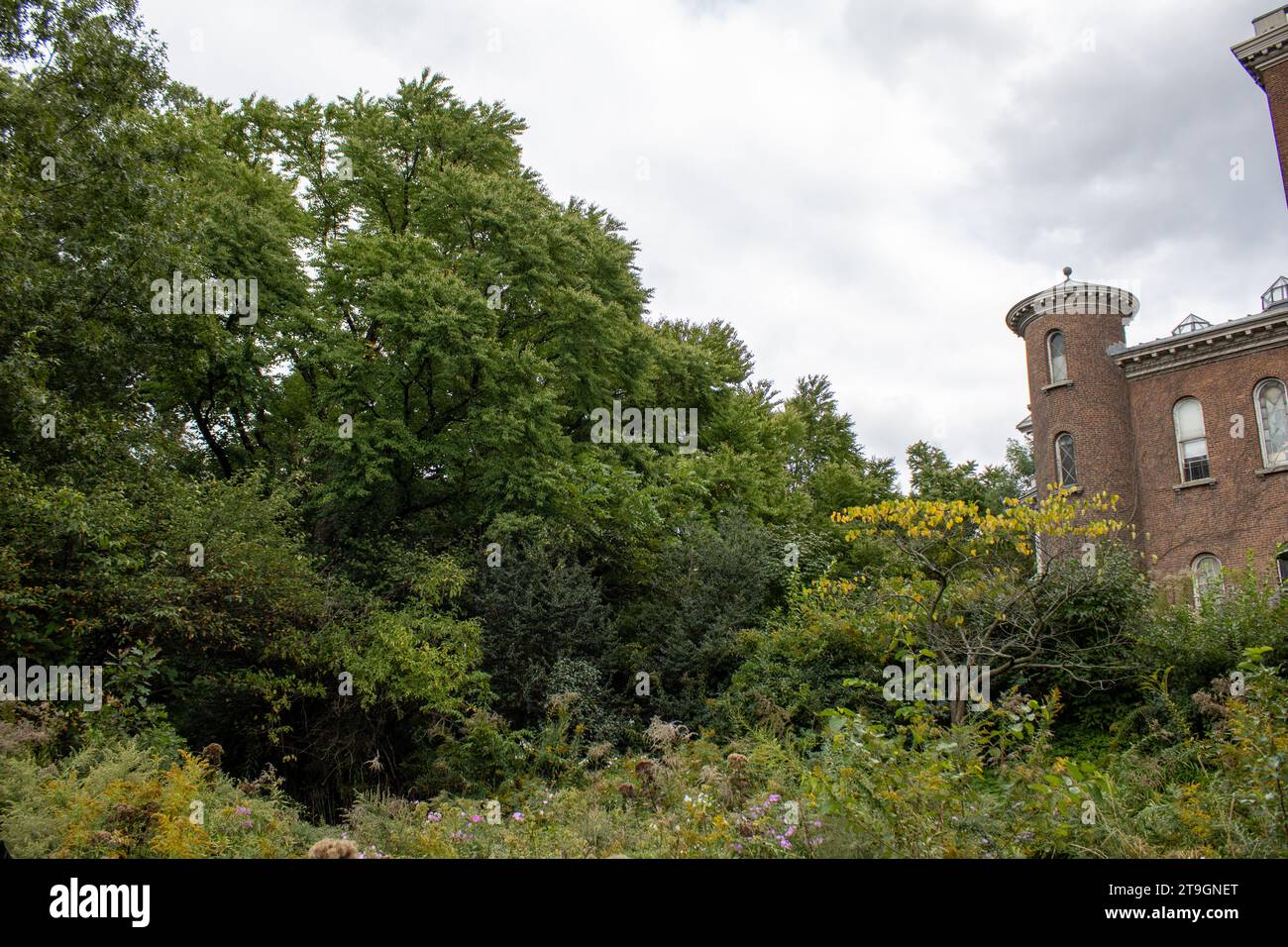 new york city Stock Photo