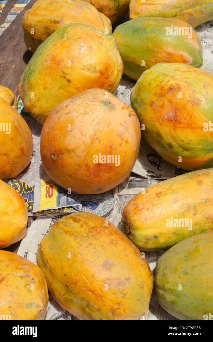 Fresh Mangoes for sale in the sun at a market stall in Negombo in Sri Lanka Stock Photo