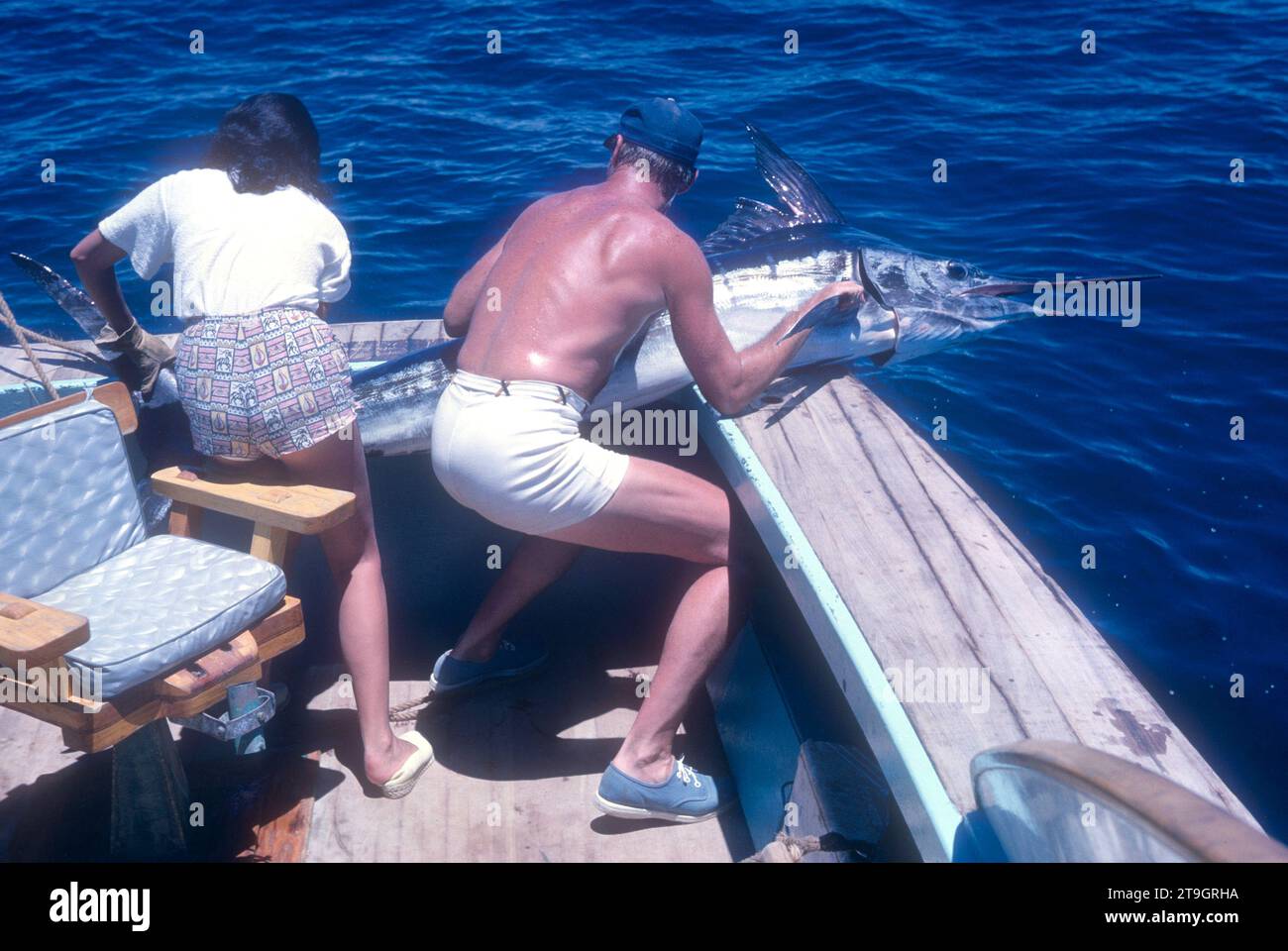 BAJA CALIFORNIA, MEXICO - JUNE, 1962:  Actor and former baseball player Chuck Connors (1921-1992) and actress fiance Kamala Devi (1934-2010) pull a marlin on the boat while on a fishing trip circa June, 1962 in Baja California, Mexico.  (Photo by Hy Peskin) *** Local Caption *** Kamala Devi;Chuck Connors Stock Photo