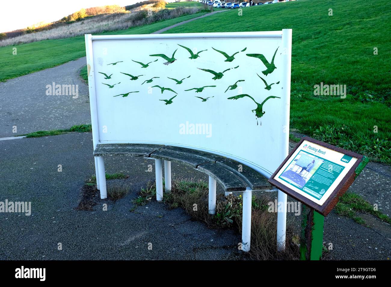 Flocking bench hi-res stock photography and images - Alamy