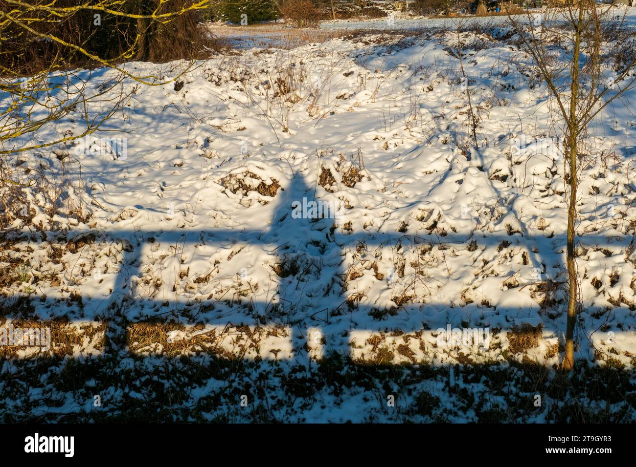 Silhouette, Schatten einer Frau und einem Brückengeländer im Schnee Stock Photo