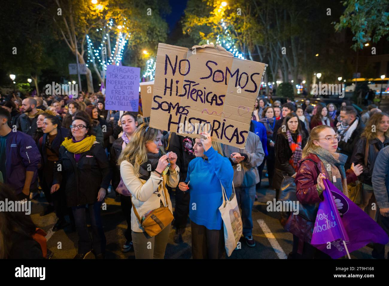 Madrid, Spain. 25th Nov, 2023. A woman carrying a placard reading 'We are not hysterical, we are historical' during a demonstration for the International Day for the Elimination of Violence against Women. Credit: Marcos del Mazo/Alamy Live News Stock Photo